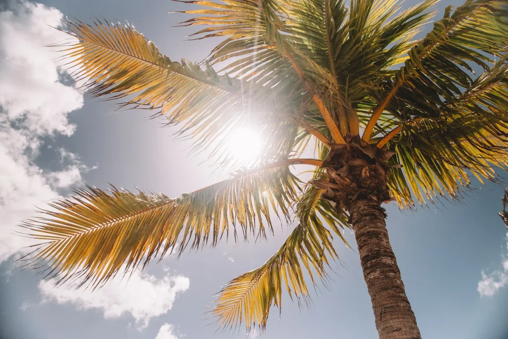 Cómo protegernos del sol y las altas temperaturas